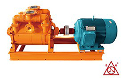 F2BE係列麻豆免费视频网站真空泵